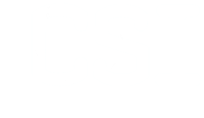 CSI Systems Ltd