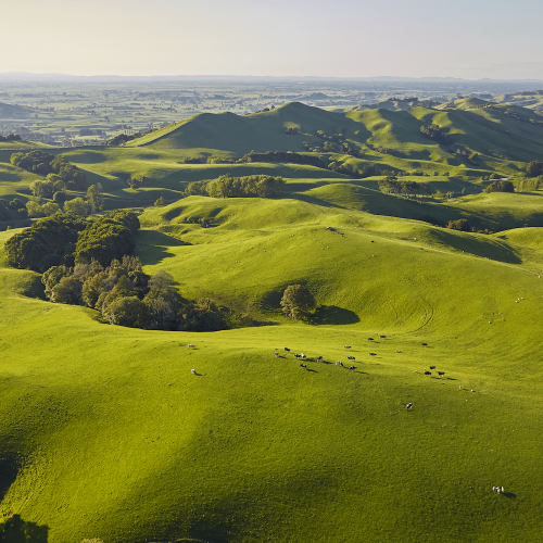 Enhancing Online Visibility for MBS Advisors: A Strategic SEO Initiative 1 mbs advisors accountants waikato bg